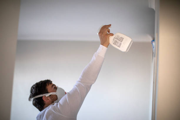 Best Affordable Mold Removal  in Presidio, TX