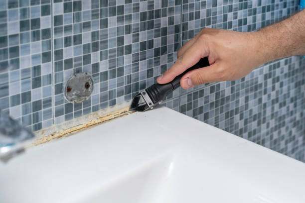 Best Local Mold Removal Service  in Presidio, TX
